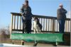 December 2007 - Dock Dogs/Herding/Agility at Slydrock