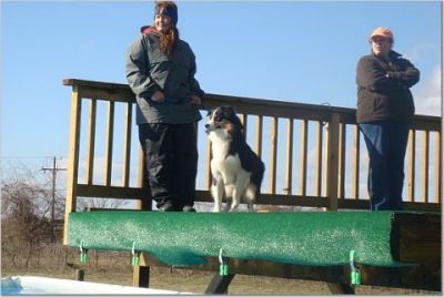 December 2007 - Dock Dogs/Herding/Agility at Slydrock