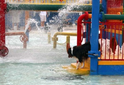 Water Park 2006